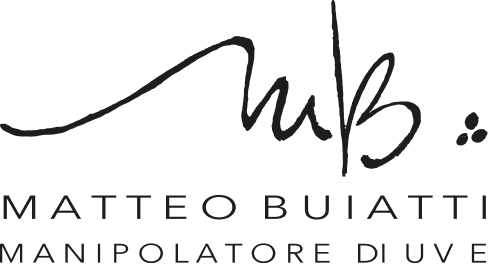 Matteo Buiatti